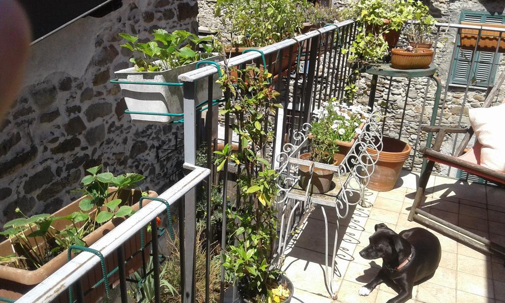 Casa Med Holiday Home Isolabona Екстериор снимка