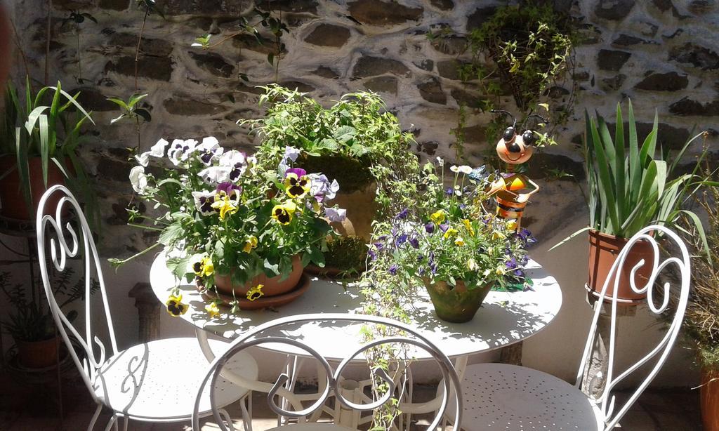 Casa Med Holiday Home Isolabona Екстериор снимка